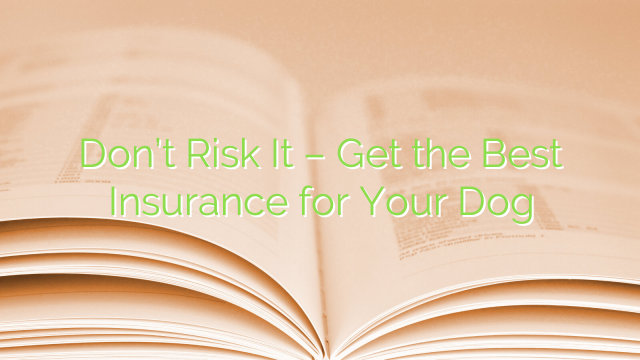 Don’t Risk It – Get the Best Insurance for Your Dog