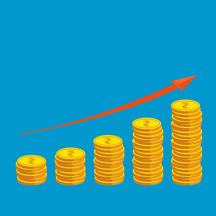coin-5099760_960_720.jpg