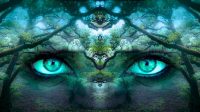 fantasy-2824304_960_720.jpg