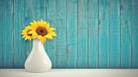 sunflowers-3292932_960_720.jpg