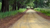 road-1894938_960_720.jpg